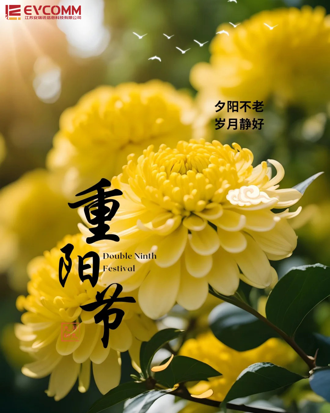 重阳节短.png